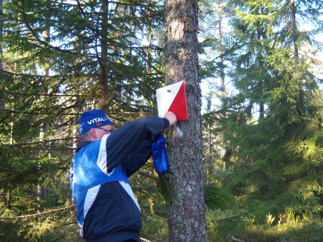 Alle postene til Ola Dilt er ute i skogen og venter på besøk av deg.